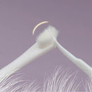 Escova-de-Dentes-para-Cães