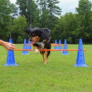 Equipamento-de-Agility-para-Cães