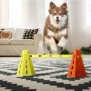 Equipamento-de-Agility-para-Cães