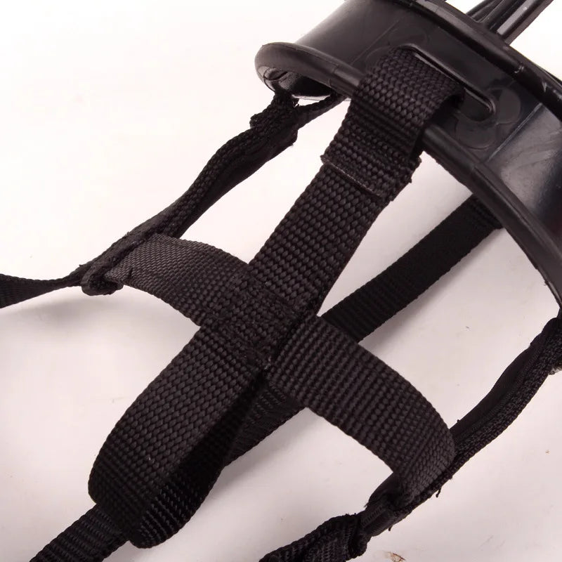 Focinheira-para-Cães-Médios-e-Grandes