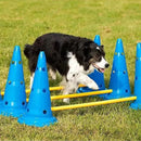 Equipamento-de-Agility-para-Cães
